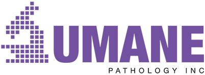 UMANE